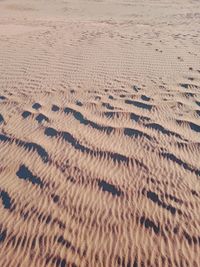 Full frame shot of sand dune