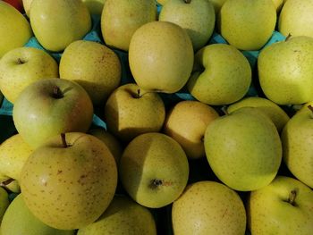 Full frame shot of oranges