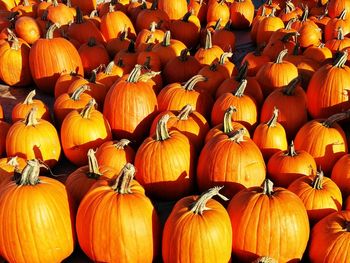 Pumpkins for sale at market stall