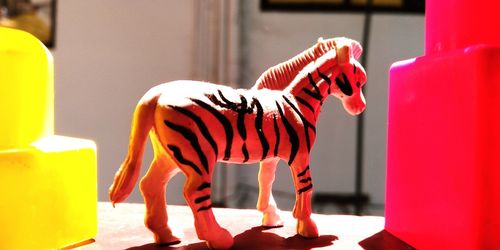 Zebra standing on red indoors