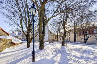 Snow covered bare trees and buildings against sky