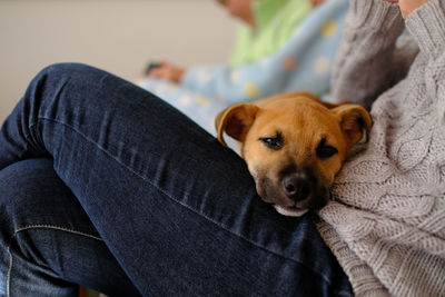 Close-up portrait of dog and owner at home