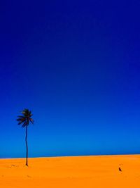 Scenic view of beach against clear blue sky