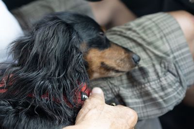 Midsection of person with dog