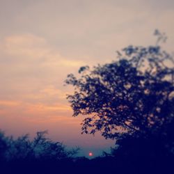 Low angle view of silhouette trees against sky at sunset