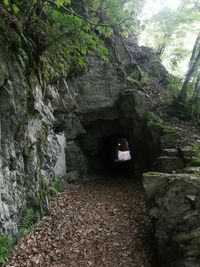 Rock formation amidst trees in forest