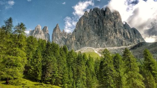 Low angle view of pinewood foresta and mountain peaks against sky