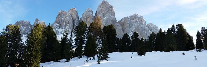 Scenic view of snow covered landscape