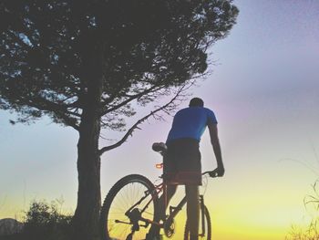 Rear view of man riding bicycle at sunset