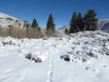 Snow covered field against sky