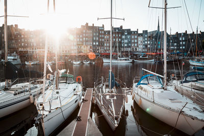 Boats moored in harbor