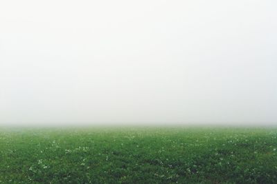 Scenic view of grassy field against clear sky