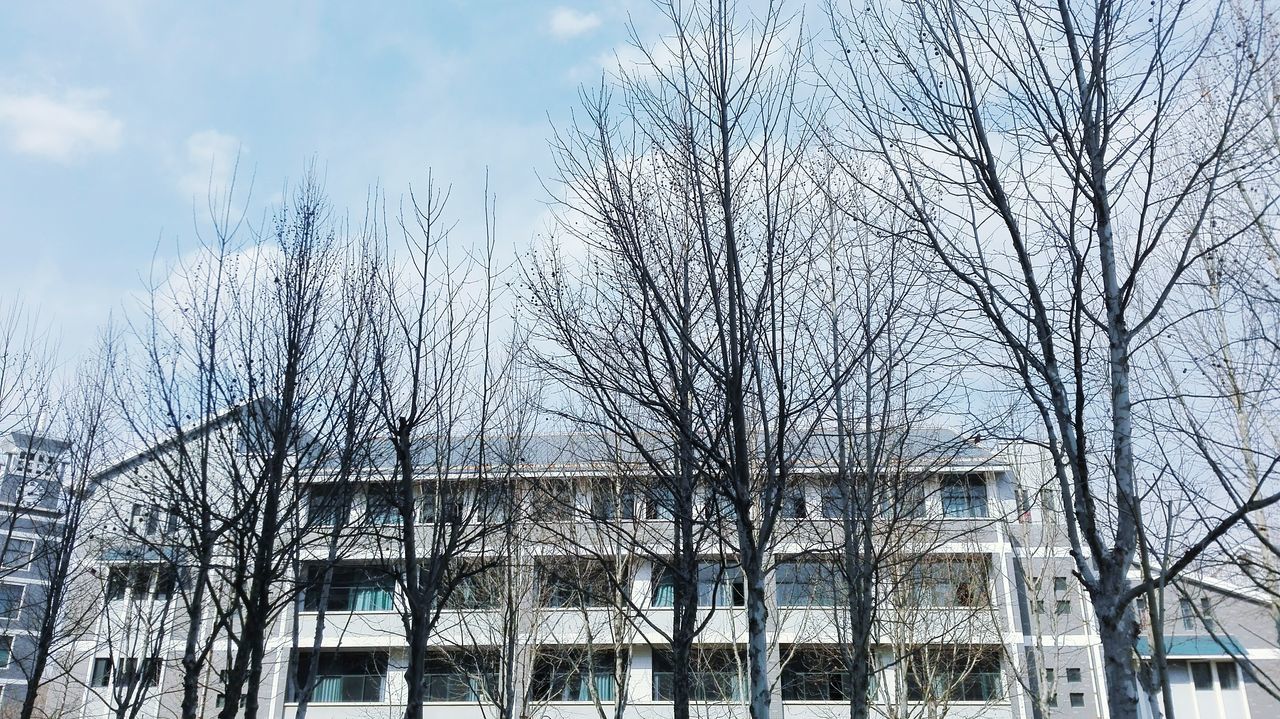 architecture, building exterior, built structure, bare tree, low angle view, tree, sky, window, house, branch, residential building, residential structure, building, day, no people, outdoors, roof, city, cloud - sky, abandoned