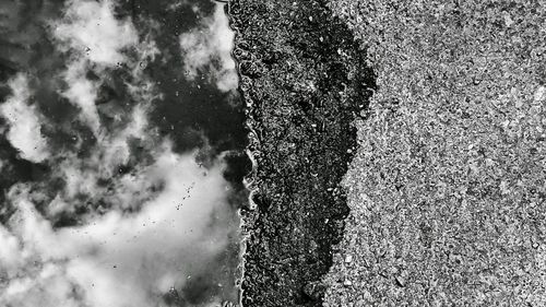 Close-up of tree against sky