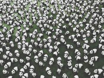 Full frame shot of patterned pattern
