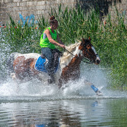 People running in water