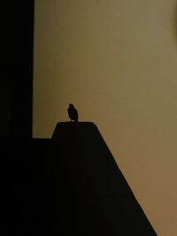 Low angle view of bird perching on silhouette of building