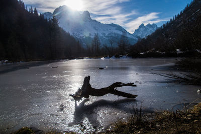 Driftwood on frozen lake against snowcapped mountain