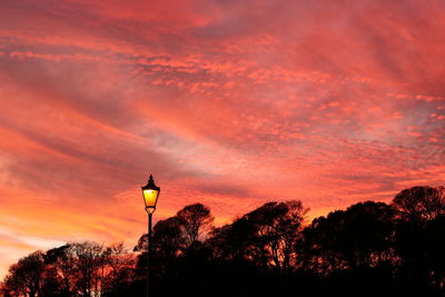 Low angle view of silhouette trees against orange sky