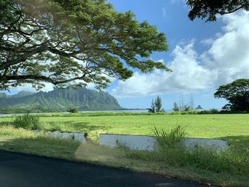 Scenic view of landscape against sky