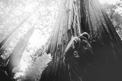 Low angle view of man looking at tall tree in forest