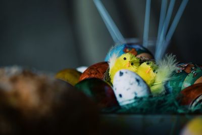 Close-up of decorations during easter at home