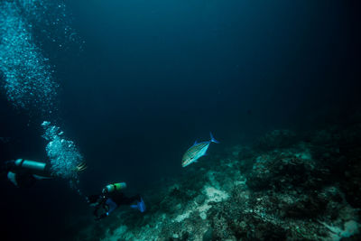 People swimming in sea