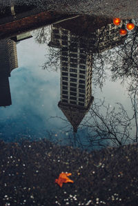 Reflection of building in puddle