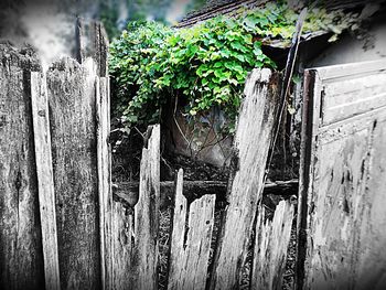 Close-up of wooden post