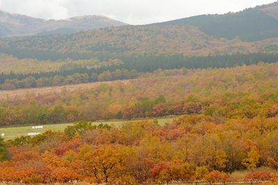 Scenic view of mountains