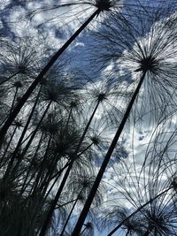 Low angle view of bare trees against sky