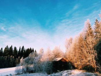 Scenic view of snow covered landscape