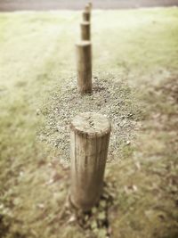 Close-up of wood