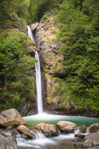Scenic view of waterfall in forest