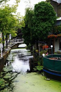 Bridge over canal against trees