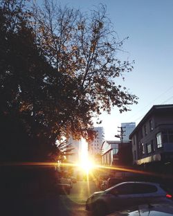 Tree by building against sky during sunset