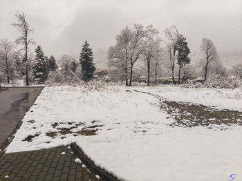 Snow covered field by trees against sky