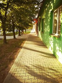 Footpath amidst trees and plants in park