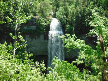 Scenic view of waterfall