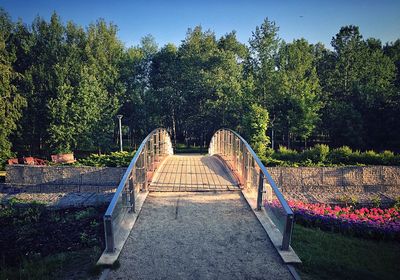 Boardwalk in park against sky