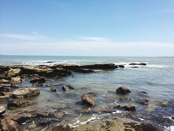 Scenic view of sea against clear sky