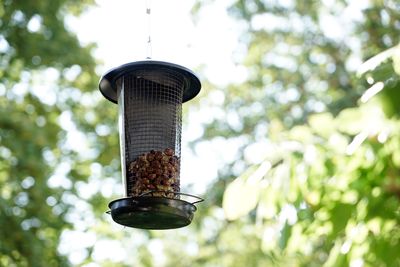 Low angle view of a bird feeder