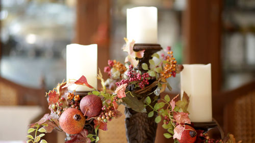 Close-up of potted plant