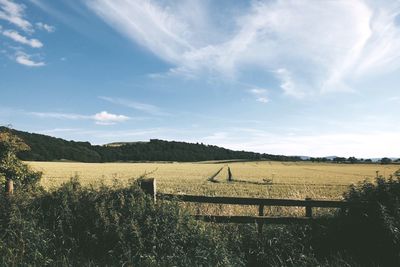 Scenic view of field against sky