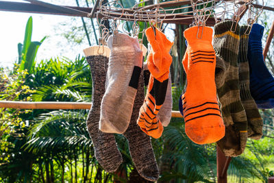 Socks hanging on clothesline