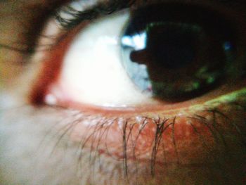 Close-up portrait of human eye