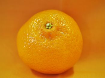 Close-up of orange fruit