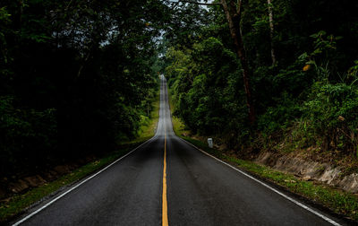 Empty road amidst trees in forest