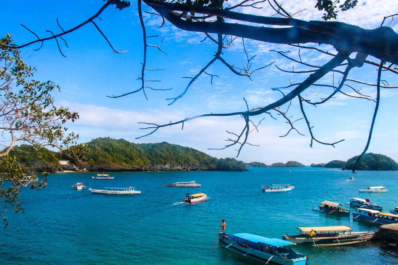 nautical vessel, tree, transportation, water, mode of transport, boat, sea, nature, scenics, beauty in nature, no people, moored, day, sky, outdoors, tranquility, tranquil scene, blue, branch