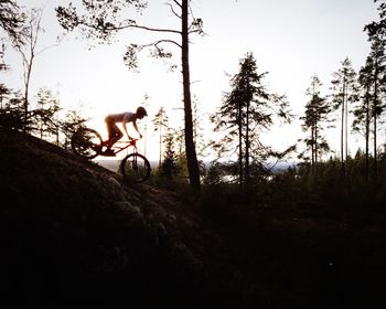 Man riding bicycle by trees against sky